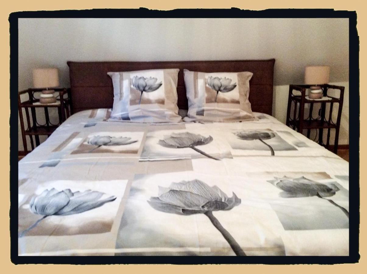 Des Lentilles Apartment *