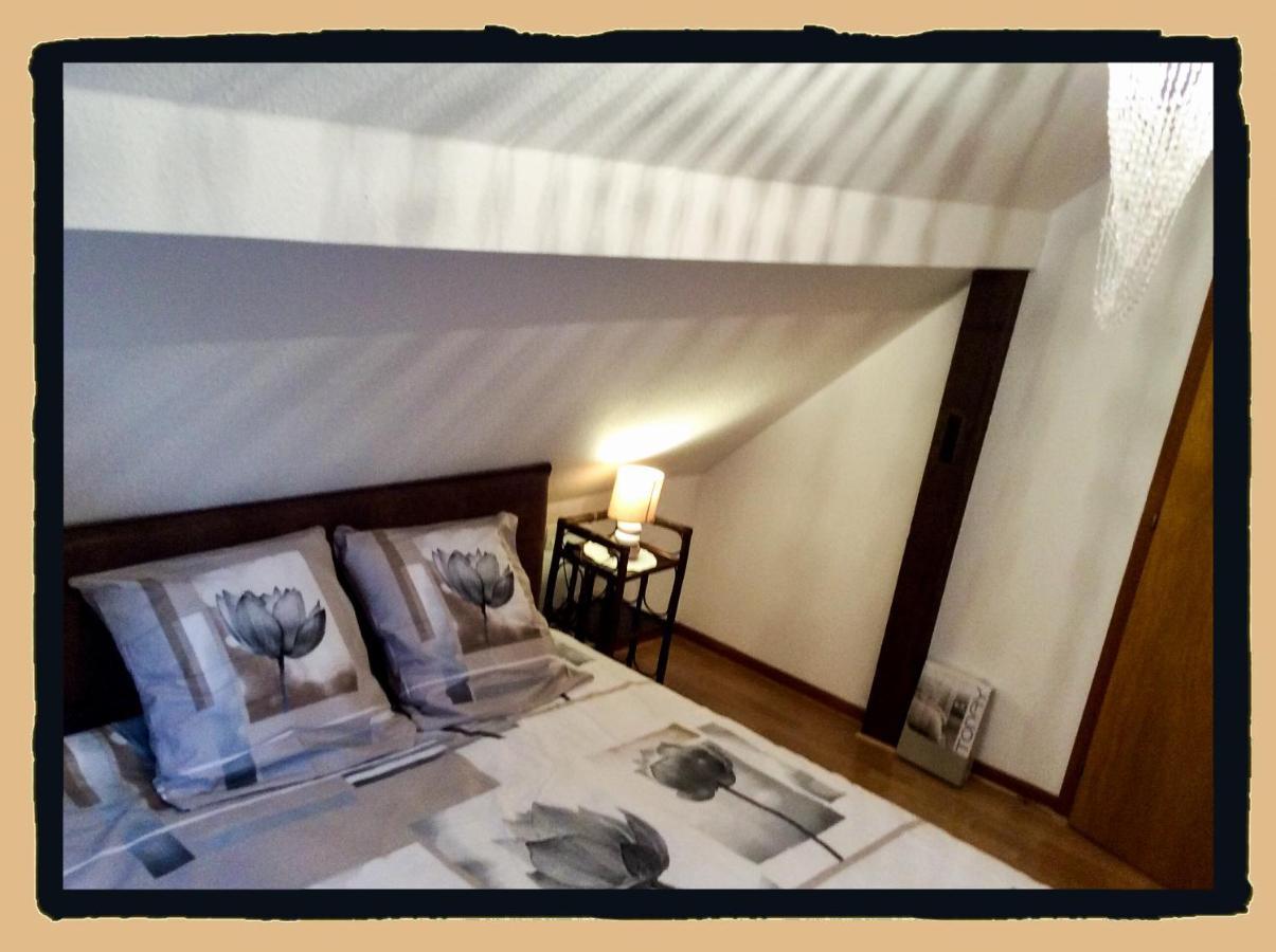 Des Lentilles Schiltigheim